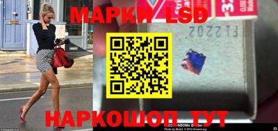 гашик Камышлов