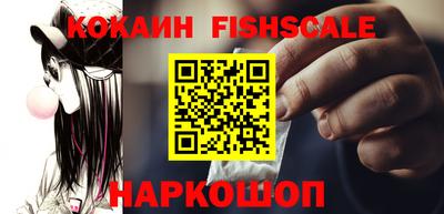 гашик Камышлов