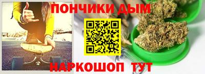 гашик Камышлов