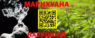 гашик Камышлов