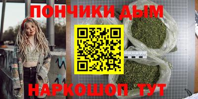 гашик Камышлов