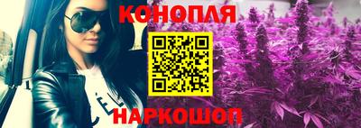 гашик Камышлов