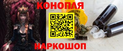 гашик Камышлов