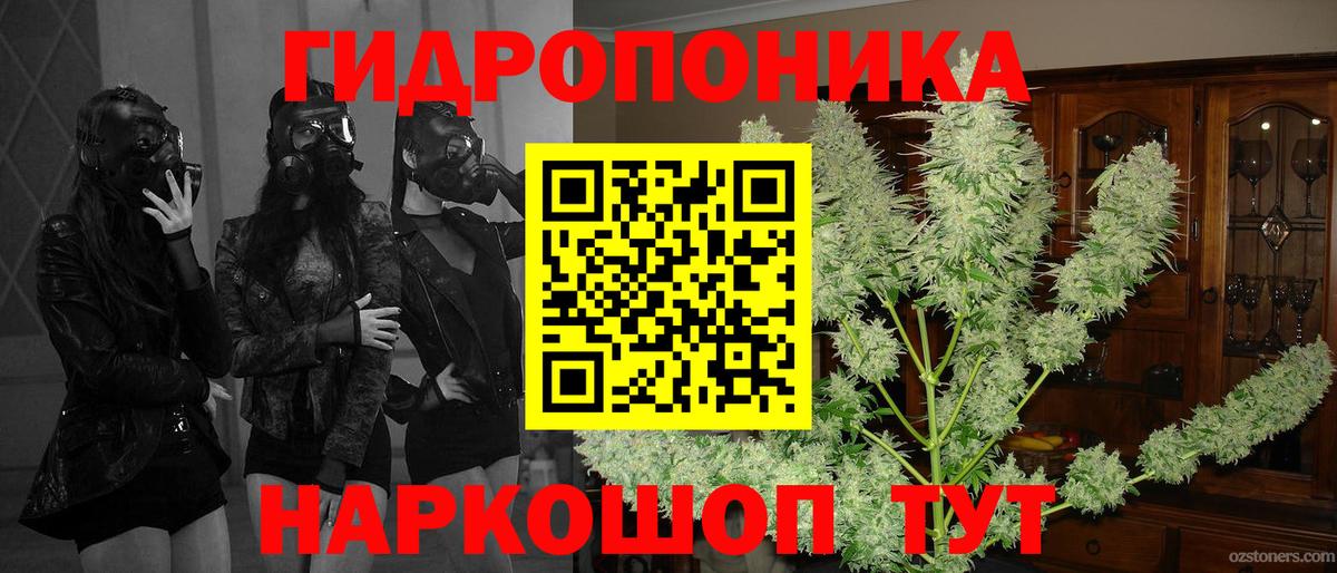 Бошки марихуана индика  Вход с VPN  Конопля конопля  Валуйки  Канабис AK-47  Каннабис AK-47 